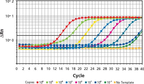 Ct values for Λ Amplicon using SYBR Green JumpStart Taq ReadyMix