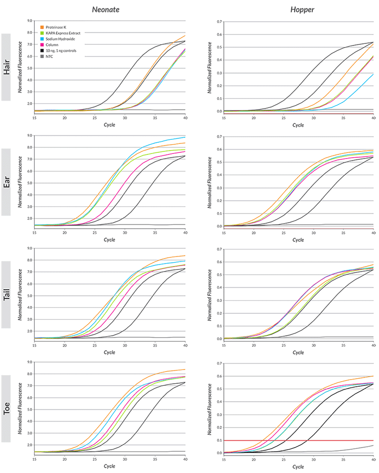 Extraction comparison for neonate and hopper mice Extraction comparison for neonate and hopper mice