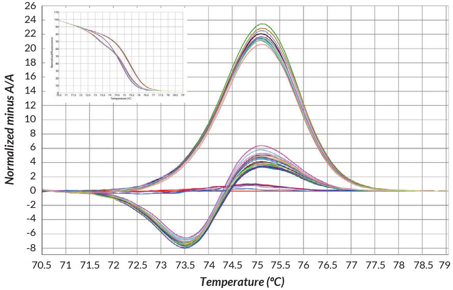 KAPA HRM DNA Extracts DNA extracts were prepared from buccal swabs obtained from 36 individuals using KAPA Express Extract DNA Extraction Kits (according to recommended protocols).