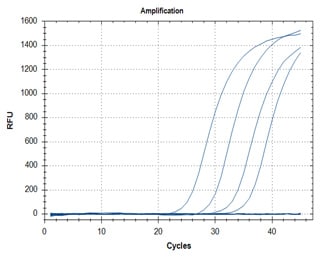 RT-qPCR – Quantitative Reverse Transcription PCR SARS-CoV-2 detection assays utilizing the KAPA PROBE FAST One-Step qRT-PCR Master Mix (2X) Universal Kit (Cat. No. KK4752) for primer targets N1 (graph A) and N2 (graph B).