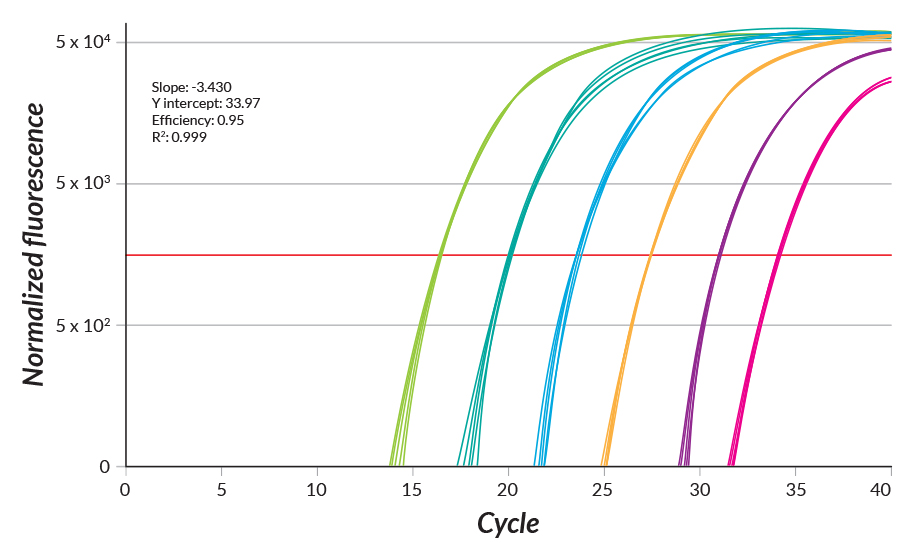 KAPA SYBR® FAST One-Step Normalized Fluorescence 279 bp fragment amplified in replicates of 6 from a 10-fold dilution series of commercial MS2 bacteriophage RNA (80 pg to 0.8 fg per 20 μL reaction). Reaction efficiency of 95% calculated for all 6 replicates per data.