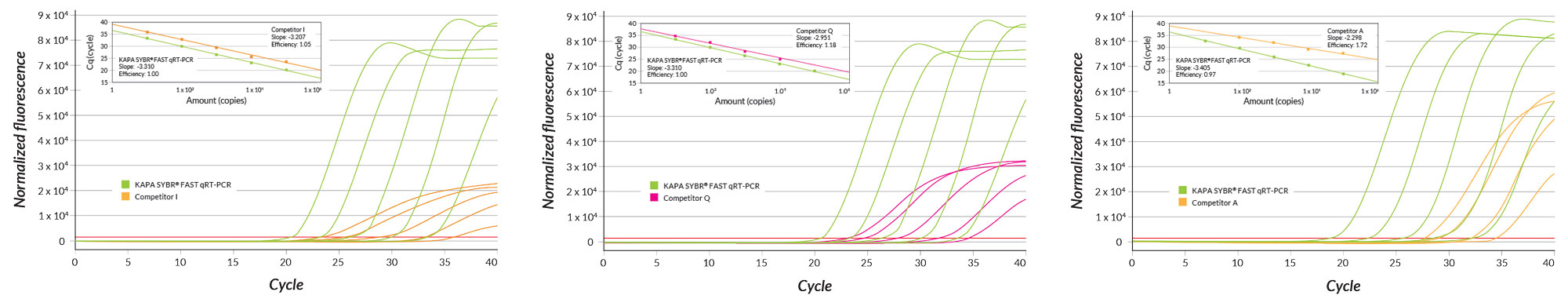 KAPA SYBR® FAST One-Step RRMI gene RRMI gene