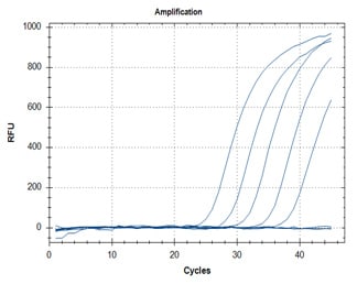 RT-qPCR – Quantitative Reverse Transcription PCR