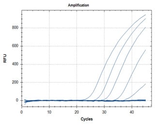 RT-qPCR – Quantitative Reverse Transcription PCR SARS-CoV-2 detection assays utilizing the ABScript II One Step RT-qPCR Probe Kit (Cat. No. RK20407) for primer targets N1 (graph A) and N2 (graph B).