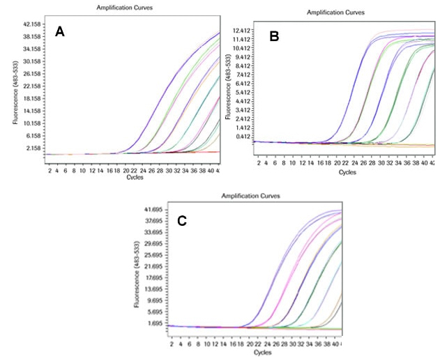 real-time Real-time RT-PCR assays with a dilution series of commercially available human reference cDNA for GAPDH on a LightCycler® 480 Instrument.