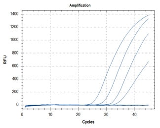 RT-qPCR – Quantitative Reverse Transcription PCR SARS-CoV-2 detection assays utilizing the Quantitative RT-PCR ReadyMix™ (Cat. No. QR200) for primer targets N1 (graph A) and N2 (graph B).