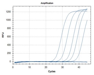 RT-qPCR – Quantitative Reverse Transcription PCR A: N1 Assay