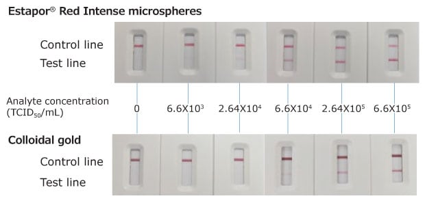 flua-analyte-detection-with-estapor-red-Intense-vs-colloidal-gold Graph showing visual detection results of increasing FluA analyte concentrations using Estapor® Red Intense microspheres and colloidal gold, highlighting superior sensitivity of Estapor® microspheres.