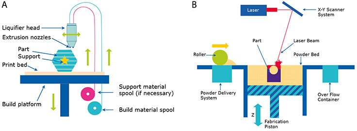 demonstration-of-fdm-and-sls-processes FDM和SLS工艺示意图