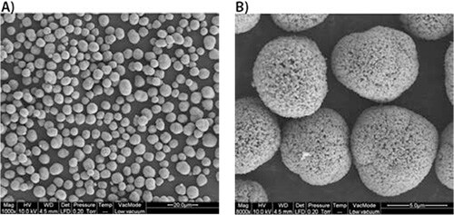 SEM images of the scaled-up