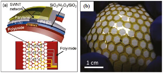 Schematic and (b) Photograph of stretchable pressure sensor using IsoNanotubes-S TM for the backplane TFT. 14 (Figure was adapted from reference 14) Schematic and (b) Photograph of stretchable pressure sensor using IsoNanotubes-S TM for the backplane TFT. 14 (Figure was adapted from reference 14)
