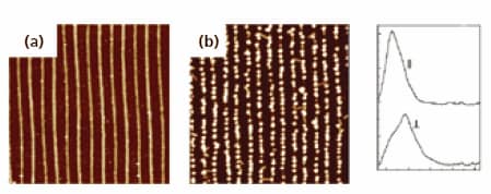 afm-np-preparation afm-np-preparation