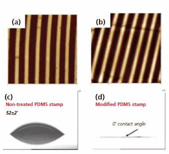 afm-topography afm topography