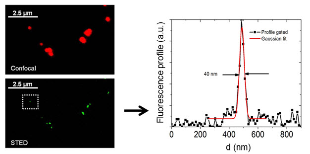 confocal-and-super-resolution-figure-3 Confocal and Super Resolution