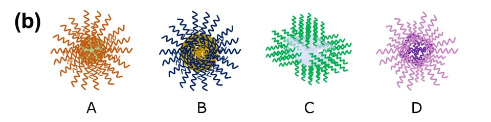 DNA-functionalized core particles The illustration depicts four types of DNA-functionalized core particles labeled A, B, C, and D in various colors, showcasing the diversity of DNA-functionalized core particles. These different types of functionalized core particles represent a range of materials, including metallic nanoparticles, MOF structures, hydrogels, proteins, etc., highlighting their potential for tailored applications in nanotechnology, biotechnology, and materials science.