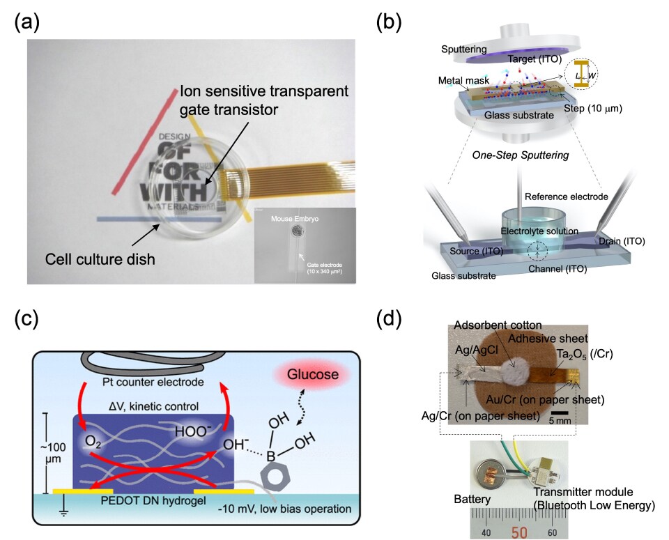 Ion-sensitive transparent-gate transistor (ISTGT) for visible cell sensing. The top left, labeld a, highlights an ion-sensitive transparent-gate transistor (ISTGT) designed for visible cell sensing, shown alongside a cell culture dish. The ISTGT offers a transparent and sensitive platform for monitoring cellular activities, making it suitable for a wide range of biomedical and bioelectronic applications. The clear visualization of the ISTGT and its integration with cell culture emphasizes its potential for real-time and non-invasive cell sensing, contributing to advancements in cellular research, drug screening, and diagnostics. The top right, labeled b, illustrates one-step sputtering with a controlled metal shadow mask for the all-by-ITO technology, alongside the conceptual structure of a solution-gated ultrathin channel ITO-based FET sensor. The technology and sensor design offer a comprehensive and efficient approach to the fabrication and operation of FET sensors. The one-step sputtering process and the ultrathin channel FET sensor concept demonstrate key advancements in sensor manufacturing and functionality, especially in the field of biosensing and point-of-care diagnostics. The bottom left, labeled c, showcases a double-network hydrogel integrated into an organic electrochemical transistor (OECT) configuration, along with a proposed mechanism for glucose sensing. The integration of the double-network hydrogel with the OECT platform offers a versatile and responsive system for glucose sensing and bioelectronic applications. The proposed sensing mechanism provides valuable insights into the interaction between the hydrogel and glucose, highlighting the potential for accurate and sensitive glucose detection in physiological and biomedical environments. The bottom right, labeled d, displays a paper-based metal electrode and an electrical measurement system designed for wireless sensing applications. The integration of the paper-based electrode with the wireless measurement system offers a portable and low-cost solution for diverse sensing applications. The visual representation emphasizes the practical and user-friendly nature of the wireless sensing platform, showcasing its potential for remote and point-of-use environmental and biomedical monitoring.