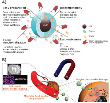 Magnetic nanoparticles (MNP)