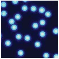 Microparticles GmbH