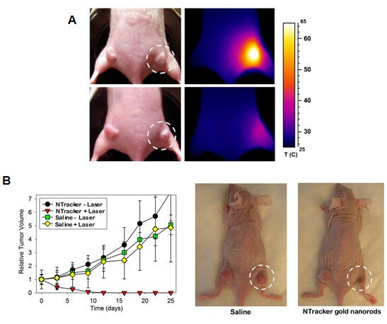 Functionalized Gold Nanorods