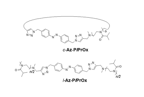 Structures of l-Az-PiPrOx and c-Az-PiPrOx
