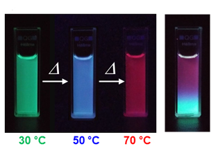 Emission color changes of Dye-PiPrOx mixture systems D&G