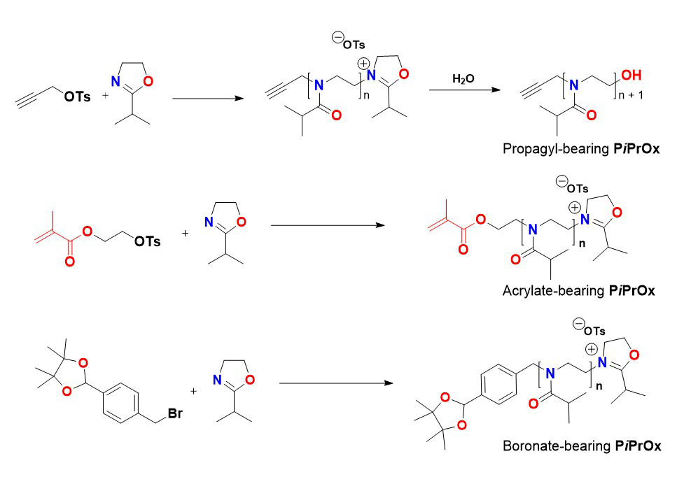 Illustration of the functionalization of initiation end of PiPrOx