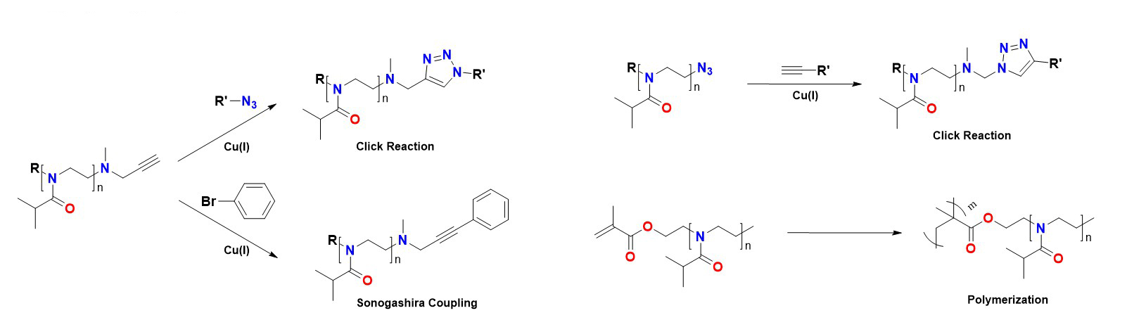 Illustration of the modification of functional groups of PiPrOx