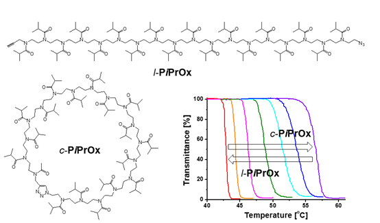 l-PiPrOx and c-PiPrOx structures with temperature-dependent transmittance changes
