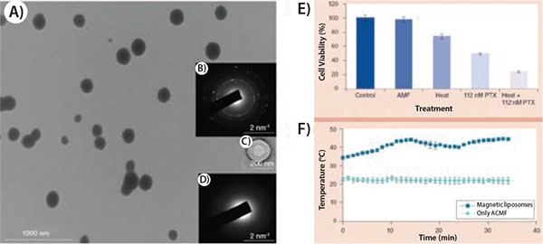 transmission-electron-micrographs 含有双相悬浮液的磁性脂质体的透射电子显微照片