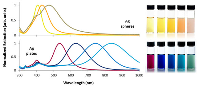 Two sets of graphs with corresponding visual samples of silver nanoparticles in solution. The top graph shows the optical extinction spectra for silver nanospheres ranging from 10 to 100 nm in diameter, depicted by curves peaking at different wavelengths with colors transitioning from blue to red as the size increases. Below are vials showing the color change in solutions containing these nanospheres, ranging from clear to yellow. The bottom graph presents the extinction spectra for silver nanoplates between 50 and 150 nm in diameter, with curves stretching across a broader range of wavelengths and shifting from blue to purple as size increases. Adjacent are vials demonstrating the respective color changes in solutions, varying from clear to deep purple. This illustrates how controlling nanoparticle shape and size can tune plasmon resonance across visible and near-infrared spectrum regions. Two sets of graphs with corresponding visual samples of silver nanoparticles in solution. The top graph shows the optical extinction spectra for silver nanospheres ranging from 10 to 100 nm in diameter, depicted by curves peaking at different wavelengths with colors transitioning from blue to red as the size increases. Below are vials showing the color change in solutions containing these nanospheres, ranging from clear to yellow. The bottom graph presents the extinction spectra for silver nanoplates between 50 and 150 nm in diameter, with curves stretching across a broader range of wavelengths and shifting from blue to purple as size increases. Adjacent are vials demonstrating the respective color changes in solutions, varying from clear to deep purple. This illustrates how controlling nanoparticle shape and size can tune plasmon resonance across visible and near-infrared spectrum regions.