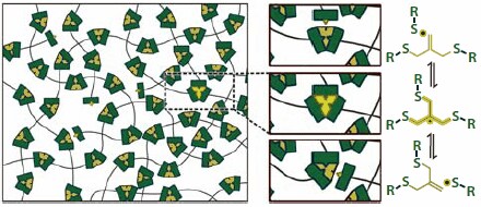 Methacrylate Cross-Linked Networks Methacrylate Cross-Linked Networks