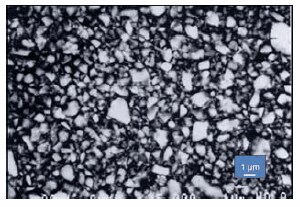 Scanning electron micrograph Scanning electron micrograph