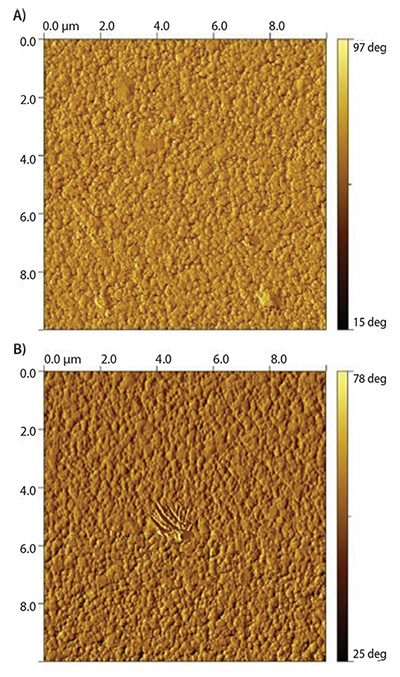 gold surfaces coated gold surfaces coated