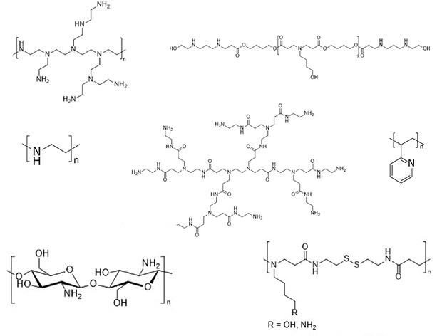 Structures of a variety of cationic polymer carriers including generation 2 poly(amidoamine) (PAMAM) dendrimers
