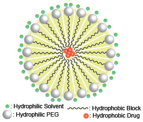 Micellen_neu Schematic example of drug-loaded micelles