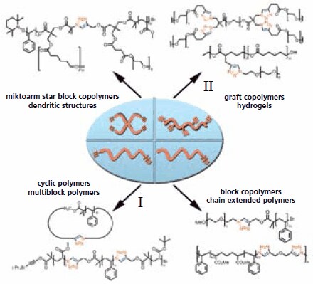 Examples of macromolecular architectures