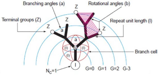 Schematic of dendritic branch including generation, repeat unit length, terminal groups, branching angles, and rotational angles. 