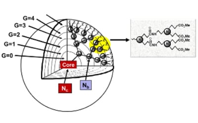 Mathematical expressions for calculating the theoretical number of surface groups (Z), branch cells (BCs), and molecular weights (M<sub>W</sub>s) for PAMAM dendrimers as a function of generation for the PAMAM dendrimer family, where: N<sub>c</sub>, N<sub>b</sub> = core, branch cell multiplicities; respectively, and G = generation. Reprinted with permission from reference 3, copyright 2004 Sigma-Aldrich; reference 5, 2005 Elsevier; and reference 6, 2012 Cambridge University Press.