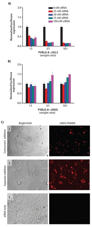 In vitro transfection of HeLa-Luc cells with luciferase siGL3 at various polymer:siRNA weight ratios and siRNA concentrations In vitro transfection of HeLa-Luc cells with luciferase siGL3 at various polymer:siRNA weight ratios and siRNA concentrations