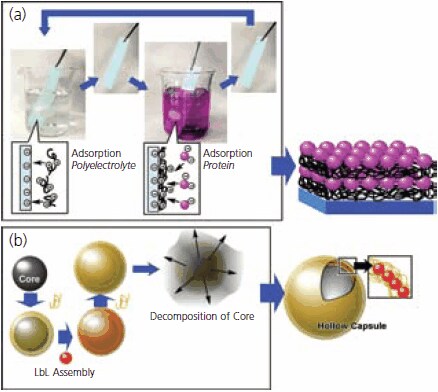 Process of LbL assembly Process of LbL assembly