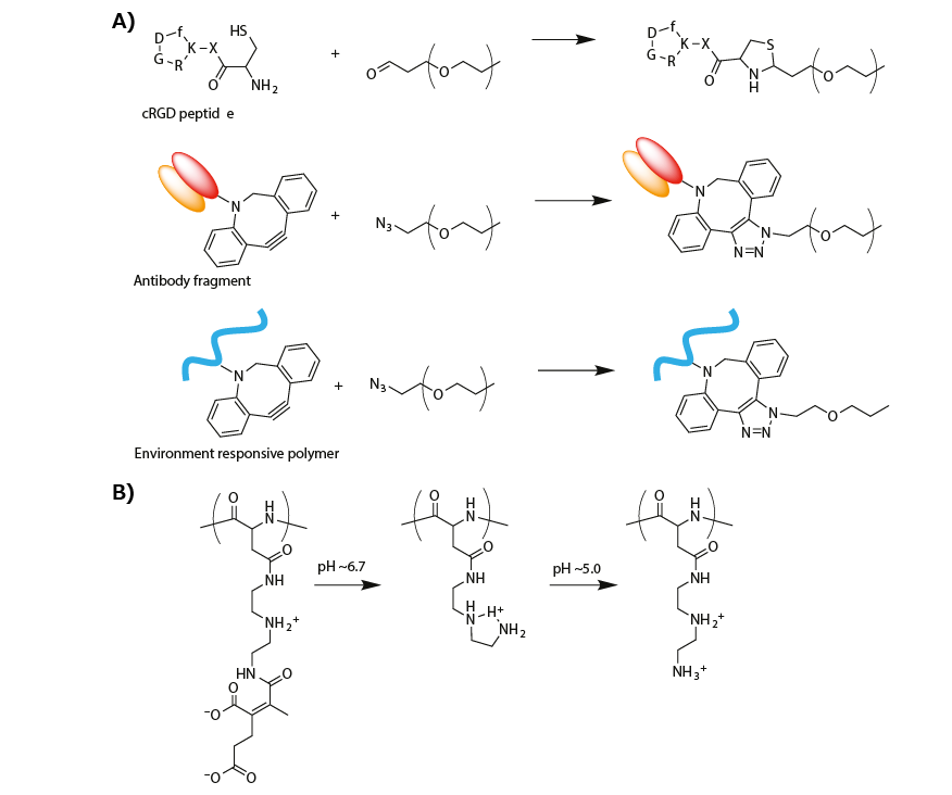 Synthesis scheme of modified PEG Synthesis scheme of modified PEG