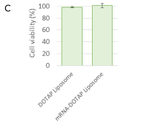 NanoFabTx™ Cell Viability After 24 hours, mRNA-DOTAP liposomes and empty liposomes were cytocompatible (100% cell viability).
