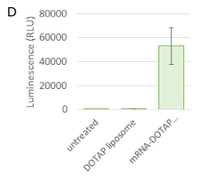 NanoFabTx™ Luminescence Cells transfected with mRNA delivered in DOTAP liposomes resulted in elevated luciferase expression evaluated via increased luminescence.