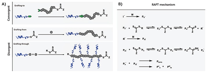 MATERIAL MATTERS, Volume 12, Number 2 Mechanism of RAFT polymerization