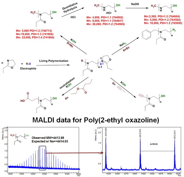 Polyoxazolines and Linear polyethylenimines Polyoxazolines and Linear polyethylenimines