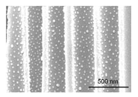 Cross-sectional SEM images of a porous alumina membrane coated with a PAA/PAH/Au nanoparticle film