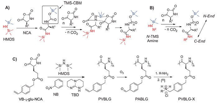 Proposed mechanism Proposed mechanism