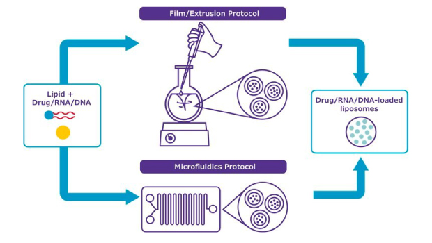 DOTAP lipid mix vial for preparing cationic liposomes used in nucleic acid delivery via extrusion or microfluidic methods.