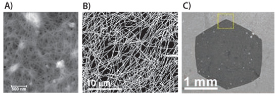 AFM image of a CNT network AFM image of a CNT network