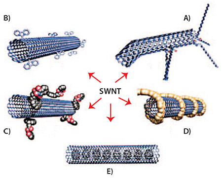 Functionalization strategies of SWNTs Functionalization strategies of SWNTs